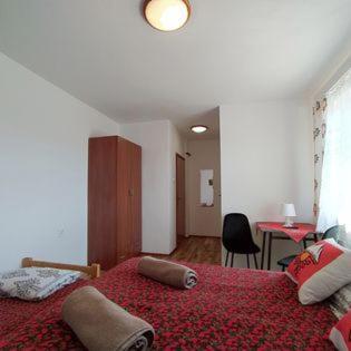 "U Skowronkow" Bed & Breakfast Bukowina Tatrzanska Ngoại thất bức ảnh